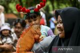 Pengunjung berfoto dengan iguana (Iguana iguana) di Kebun Binatang Bandung, Jawa Barat, Rabu (25/12/2024). Kebun Binatang Bandung menargetkan sebanyak 1.500 pengunjung per hari selama libur Natal dan Tahun Baru 2025 dari periode 21 Desember 2024 hingga 5 Januari 2025. ANTARA FOTO/Raisan Al Farisi/agr
