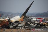 28 orang tewas, tiga selamat dalam kecelakaan pesawat di Korea Selatan