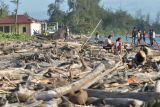 Warga berada diantara material sampah sisa abrasi di pantai Pekik Nyaring, Kabupaten Bengkulu Tengah, Bengkulu, Sabtu (28/12/2024). Sampah kiriman berupa kayu dan plastik yang berserakan di pesisir pantai sejak tiga bulan terakhir membuat beberapa kapal nelayan rusak dan sulit saat memarkir perahu usai melaut . ANTARA FOTO/Muhammad Izfaldi/foc.