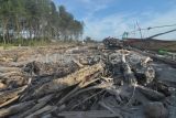 Nelayan menambatkan perahu usai melaut diantara material sampah sisa abrasi di pantai Pekik Nyaring, Kabupaten Bengkulu Tengah, Bengkulu, Sabtu (28/12/2024). Sampah kiriman berupa kayu dan plastik yang berserakan di pesisir pantai sejak tiga bulan terakhir membuat beberapa kapal nelayan rusak dan sulit saat memarkir perahu usai melaut . ANTARA FOTO/Muhammad Izfaldi/foc.