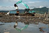 Pekerja mengoperasikan alat berat untuk melakukan penimbunan dan pemadatan area pantai yang akan dibangun Dermaga 2 Pelabuhan Perikanan Pantai (PPP) Popoh, Tulungagung, Jawa Timur, Senin (30/12/2024). Pembangunan dermaga 2 Pelabuhan Popoh diproyeksikan untuk aktivitas boogkar muat produksi perikanan untuk kapal besar berkapasitas di atas 50 GT. Antara Jatim/Destyan Sujarwoko/um