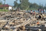 Warga berada diantara material sampah sisa abrasi di pantai Pekik Nyari, Kabupaten Bengkulu Tengah, Bengkulu, Sabtu (28/12/2024). Sampah kiriman berupa kayu dan plastik yang berserakan di pesisir pantai sejak tiga bulan terakhir membuat beberapa kapal nelayan rusak dan sulit saat memarkir perahu usai melaut . ANTARA FOTO/Muhammad Izfaldi/foc.