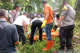 Polisi tangani penemuan mayat di kebun sawit Dharmasraya