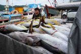 Sistem pascaproduksi PIT tingkatkan PNBP SDA perikanan 30 persen