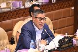 Anggota DPR Danang Wicaksana apresiasi kenaikan PPN 12 persen barang mewah