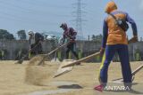 Pekerja menjemur gabah di Kasemen, Kota Serang, Banten, Kamis (2/1/2025). Pemerintah menaikkan Harga Pembelian Pemerintah (HPP) gabah dari Rp6.000 menjadi Rp6.500 per kilogram sebagai upaya untuk mendukung pencapaian target swasembada pangan. ANTARA FOTO/Putra M. Akbar/gp