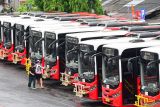 Warga berjalan di dekat deretan bus yang tidak beroperasi di Terminal Ubung, Denpasar, Bali, Kamis (2/1/2025). Transportasi umum dengan enam trayek yang disubsidi pemerintah pusat sejak awal diluncurkan tersebut berhenti beroperasi mulai 1 Januari 2025 setelah tidak lagi mendapatkan subsidi APBN dan belum diambil alih oleh pemerintah daerah di Bali. ANTARA FOTO/Fikri Yusuf/wsj.