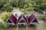 Foto udara wisatawan berkunjung ke kawasan wisata hutan bakau Pangkal Babu di Tanjung Jabung Barat, Jambi, Rabu (1/1/2025). Obyek wisata alam di pesisir barat Provinsi Jambi itu telah dikunjungi 4.000 lebih wisatawan selama masa libur Natal dan Tahun Baru 2025. ANTARA FOTO/Wahdi Septiawan/Spt.