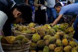 Pembeli memilih buah durian Jemongko yang dijual di Jalan Letkol Sugiyono, Pontianak, Kalimantan Barat, Kamis (1/1/2025). Durian Jemongko merupakan salah satu varietas durian terbaik di Kalimantan Barat itu didatangkan dari Kembayan, Kabupaten Sanggau yang dijual dengan harga Rp20 ribu - Rp50 ribu per buah. ANTARA FOTO/Jessica Wuysang/Spt.