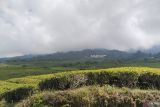 Tim Brigade evakuasi pendaki yang meninggal  di Gunung Dempo