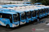 Warga melintas di depan Bus Trans Koetaradja saat parkir di Terminal Batoh, Banda Aceh, Aceh, Jumat (3/1/2024). Menurut pemerintah Aceh,  sebanyak 59 unit bus  umum Trans Koetaradja yang selama ini melayani angkutan penumpang secara gratis dan mempekerjakan sebanyak 110 pekerja berhenti beroperasi karena berakhirnya kontrak kerja  pada 31 Desember 2024 dan armada milik pemeritah itu akan kembali beroperasi pada Februari 2025 setelah dilakukan kontrak kerja baru. ANTARA FOTO/Ampelsa.