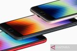 iPhone SE 4 dikabarkan meluncur pekan depan