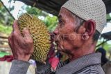 Pengunjung mencium aroma durian saat Festival Durian Teluk 2025 di Desa Teluk, Batanghari, Jambi, Sabtu (4/1/2025). Festival Durian Teluk 2025 yang digelar di salah satu desa penghasil durian itu dalam rangka mendorong pelestarian tanaman durian sekaligus meningkatkan ekonomi masyarakat desa yang berlangsung 4-5 Januari 2025. ANTARA FOTO/Wahdi Septiawan/agr