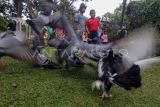 Sejumlah anak melihat burung merpati (Columba livia) saat bermain di Taman Kota Cibinong, Kabupaten Bogor, Jumat (3/1/2025). Sejumlah anak memanfaatkan taman kota tersebut sebagai tempat bermain gratis pada sisa masa liburan sekolah. ANTARA FOTO/Yulius Satria Wijaya/nym.