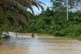 Kotim mulai terendam banjir, masyarakat diimbau waspada