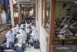 Siswa menyantap makanan bergizi gratis di SMPN 12 Cimahi, Kota Cimahi, Jawa Barat, Senin (6/1/2025). Pelaksanaan perdana program Makan Bergizi Gratis (MBG) dilakukan secara bertahap di sejumlah sekolah di Kota Cimahi, mencakup jenjang TK/PAUD, SD, SMP, dan SMA/SMK sederajat hingga Pos Pelayanan Terpadu (Posyandu) dengan total 3.500 porsi paket makanan disediakan setiap hari. ANTARA FOTO/Abdan Syakura/agr
