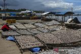 Pekerja menjemur ikan asin di Desa Teluk, Labuan, Kabupaten Pandeglang, Banten, Senin (6/1/2025). Kementerian Kelautan dan Perikanan (KKP) menutup tahun 2024 dengan perolehan penerimaan negara bukan pajak (PNBP) di subsektor perikanan tangkap mencapai Rp1,053 triliun yang terdiri atas PNBP sumber daya alam (SDA) sebesar Rp955,39 miliar dan non-SDA Rp101,193 miliar, sehingga total PNPB KKP sampai menjelang akhir tahun 2024 mencapai Rp2,16 triliun. ANTARA FOTO/Angga Budhiyanto/gp