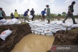 Personel TNI bersama warga bergotong royong memperbaiki tanggul sungai yang jebol di desa Jambak, Cikedung, Indramayu, Jawa Barat, Seelasa (7/1/25). Penambalan tanggul dengan karung berisi tanah tersebut sebagai upaya mengantisipasi ancaman jebolnya kembali tanggul sungai yang dapat merendam lahan persawahan di desa itu. ANTARA FOTO/Dedhez Anggara/agr
