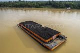 Foto udara tongkang bermuatan batu bara di Sungai Batanghari di Desa Pulau Betung, Batanghari, Jambi, Sabtu (4/1/2025). Pemerintah provinsi Jambi mencatat realisasi pengangkutan batu bara melalui Sungai Batanghari, Jambi, pada tahun 2024 mencapai 11 juta ton per tahun atau tidak mencapai target 19 juta ton per tahun akibat perubahan debit air sungai pada waktu-waktu tertentu. ANTARA FOTO/Wahdi Septiawan/agr