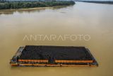 Foto udara tongkang bermuatan batu bara di Sungai Batanghari di Desa Pulau Betung, Batanghari, Jambi, Sabtu (4/1/2025). Pemerintah provinsi Jambi mencatat realisasi pengangkutan batu bara melalui Sungai Batanghari, Jambi, pada tahun 2024 mencapai 11 juta ton per tahun atau tidak mencapai target 19 juta ton per tahun akibat perubahan debit air sungai pada waktu-waktu tertentu. ANTARA FOTO/Wahdi Septiawan/agr