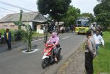 Warga melintasi jalan provinsi yang rusak ditanami pohon pisang di Kecamatan Kencong, Jember, Jawa Timur, Rabu (8/1/2025). Aksi penanaman pohon pisang sejauh 10 kilometer di jalan Jember-Lumajang itu sebagai bentuk protes warga karena rusaknya jalan antar kabupaten akibat dilewati truk over dimension overload (ODOL/dimensi dan muatan berlebih). Antara Jatim/Seno/um