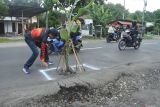 Warga memberi tanda jalan provinsi yang rusak di Kecamatan Kencong, Jember, Jawa Timur, Rabu (8/1/2025). Aksi penanaman pohon pisang sejauh 10 kilometer di jalan Jember-Lumajang itu sebagai bentuk protes warga karena rusaknya jalan antar kabupaten akibat dilewati truk over dimension overload (ODOL/dimensi dan muatan berlebih). Antara Jatim/Seno/um