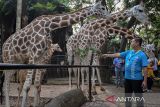 Taman Margasatwa Ragunan bidik 100.000 pengunjung selama liburan Imlek