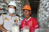 Karantina pastikan beras di Sulut bebas OPTK