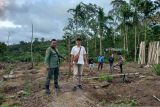 Petugas gabungan gencarkan patroli antisipasi serangan harimau di Pesisir Barat