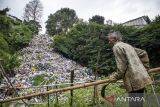 Warga memperbaiki kayu penyangga tanaman di dekat tempat pembuangan sampah (TPS) ilegal di Gudangkahuripan, Lembang, Kabupaten Bandung Barat, Jawa Barat, Rabu (8/1/2025). Warga setempat mengeluhkan keberadaan TPS yang diduga tidak memiliki izin tersebut karena menimbulkan aroma tidak sedap dan mencemari lingkungan sekitar. ANTARA FOTO/Abdan Syakura/agr