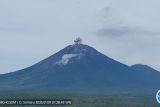 Gunung Semeru erupsi setinggi 500 meter