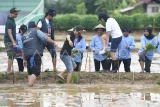 Personel kelompok musik Slank, Kaka (ketiga kanan), Ivanka (kiri), Ridho (tengah) dan Bimbim (ketiga kanan) bersiap menanam padi bersama di lahan bekas tambang batu bara di kawasan Merandai, Kutai Kartanegara, Kalimantan Timur, Kamis (9/1/2025). Penanaman padi Pemerintah Provinsi Kalimantan Timur bersama personel grup musik Slank itu merupakan rangkaian peringatan HUT ke-68 Kalimantan Timur pada lahan bekas tambang yang diubah menjadi area persawahan melalui program Pengembangan dan Pemberdayaan Masyarakat (PPM) sejak 2019. Antara Kaltim/M Risyal Hidayat