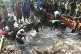 Sejumlah relawan membersihkan material batu dan kayu dampak banjir bandang yang menyumbat aliran sungai di Desa Gunungsari, Maesan, Bondowoso, Jawa Timur, Jumat (10/1/2025). Bencana banjir bandang yang terjadi, Kamis (9/1) malam tersebut mengakibatkan 12 rumah warga rusak, dan 30 kepala keluarga atau 200-an jiwa terdampak. Antara Jatim/Seno/mas.