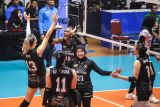 Pevoli Jakarta Popsivo Polwan berselebrasi usai meraih poin atas tim Yogya Falcons pada pertandingan putaran pertama pekan kedua PLN Mobile Proliga 2025 di GOR Tri Dharma, Gresik, Jawa Timur, Jumat (10/1/2025). Jakarta Popsivo Polwan mengalahkan Yogya Falcons dengan skor (25-14), (25-18), dan (25-19). ANTARA Jatim/Rizal Hanafi/mas.