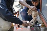 Petugas Dinas Ketahan Pangan dan Pertanian Kota Bandung (DKPP) menangkap kucing liar di permukiman Jalan Arjuna, Bandung, Jawa Barat, Jumat (10/1/2025). DKPP Kota Bandung meluncurkan program Kontrol Populasi Kucing Teridentifikasi Liar (Kopi Cinta) yang menyasar kucing liar di permukiman warga untuk disterilisasi guna mengontrol populasi dan menjaga kesehatan kucing serta lingkungan. ANTARA FOTO/Raisan Al Farisi/agr
