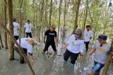 Bupati Lamtim terpilih Ela Siti Nuryamah ajak masyarakat lestarikan mangrove