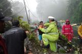 TNI-Polri gercep singkirkan pohon tumbang di jalur Medan-Berastagi