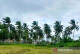 Panduan hadapi cuaca ekstrem di kepulauan