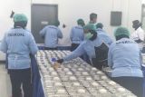 Seskoal libatkan nakes pastikan pekerja dapur makan bergizi fit