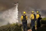 Kebakaran Los Angeles AS dan kompleksitas bencana di era informasi