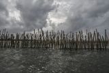 Pagar laut terpasang di kawasan pesisir Tarumajaya, Kabupaten Bekasi, Jawa Barat, Selasa (14/1/2025). Menurut nelayan setempat pemasangan pagar laut yang membentang sepanjang 2 km itu mengganggu lalu lintas kapal kecil dan berpotensi merusak ekosistem laut karena adanya pengerukan tanah. ANTARA FOTO/Fakhri Hermansyah/tom.