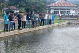 Pasaman coba budidaya Ikan Nila tanpa hormon IAS asal Belanda