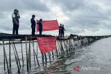 Walhi nilai pemagaran laut Tangerang rusaklingkungan