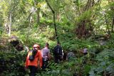 Basarnas tutup pencarian lansia hilang di hutan Ternate