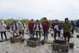 Ministry begins planting 5 hectares of mangroves in Bali