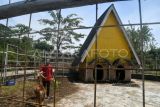 Pekerja memberi makan rusa totol (Axis axis) di Mini Zoo Agroeduwisata Waru Farm Land, Kampung Wisata Bisnis, Desa Tegalwaru, Kabupaten Bogor, Jawa Barat, Rabu (15/1/2025). Kampung Wisata Bisnis Tegalwaru Bogor yang didirikan sejak tahun 2010 tersebut bertujuan untuk membantu para pelaku UMKM di desa tersebut dalam memasarkan produk dan meningkatkan pemberdayaan ekonomi masyarakat. ANTARA FOTO/Arif Firmansyah/agr