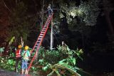 PLN imbau warga Lampung untuk waspada bahaya cuaca ekstrem