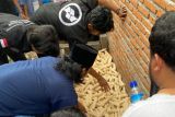 Mahasiswa KKN Unram gelar pelatihan pengolahan jamur merang di Babussalam Lombok Barat