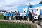 Listrik PLN masuk sawah di Sulsel, bikin petani untung