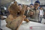 Menteri Kebudayaan Fadli Zon melihat koleksi museum usai peresmian di Museum Situs Kepurbakalaan Banten Lama, Kasemen, Kota Serang, Banten, Minggu (19/1/2025). Museum yang memiliki ribuan koleksi artefak peninggalan sejarah dan warisan budaya dari kawasan Banten Lama tersebut diresmikan pasca dilakukan revitalisasi. ANTARA FOTO/Putra M. Akbar/gp